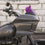 Klock Werks Kolor Flare® Windshield for Harley-Davidson® 2022 to Present Low Rider ST