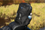 Kuryakyn Momentum Runaway Sissy Bar Backpack