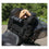 Kuryakyn Pet Palace-TITAN (35 lbs Capacity)-Motorcycle Pet Carrier