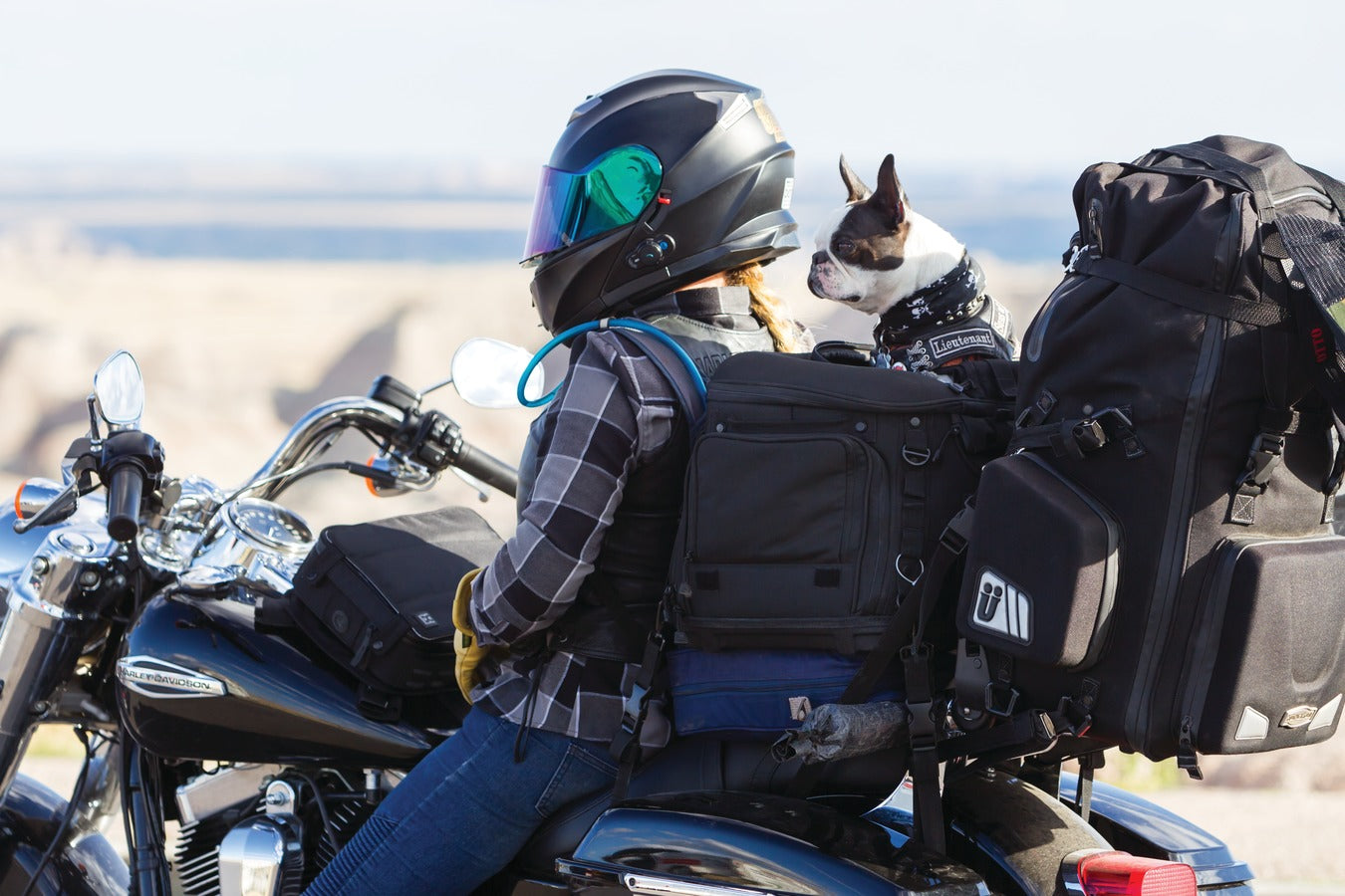 Kuryakyn GRAND Pet Palace (20 lbs Capacity)-Motorcycle Pet Carrier