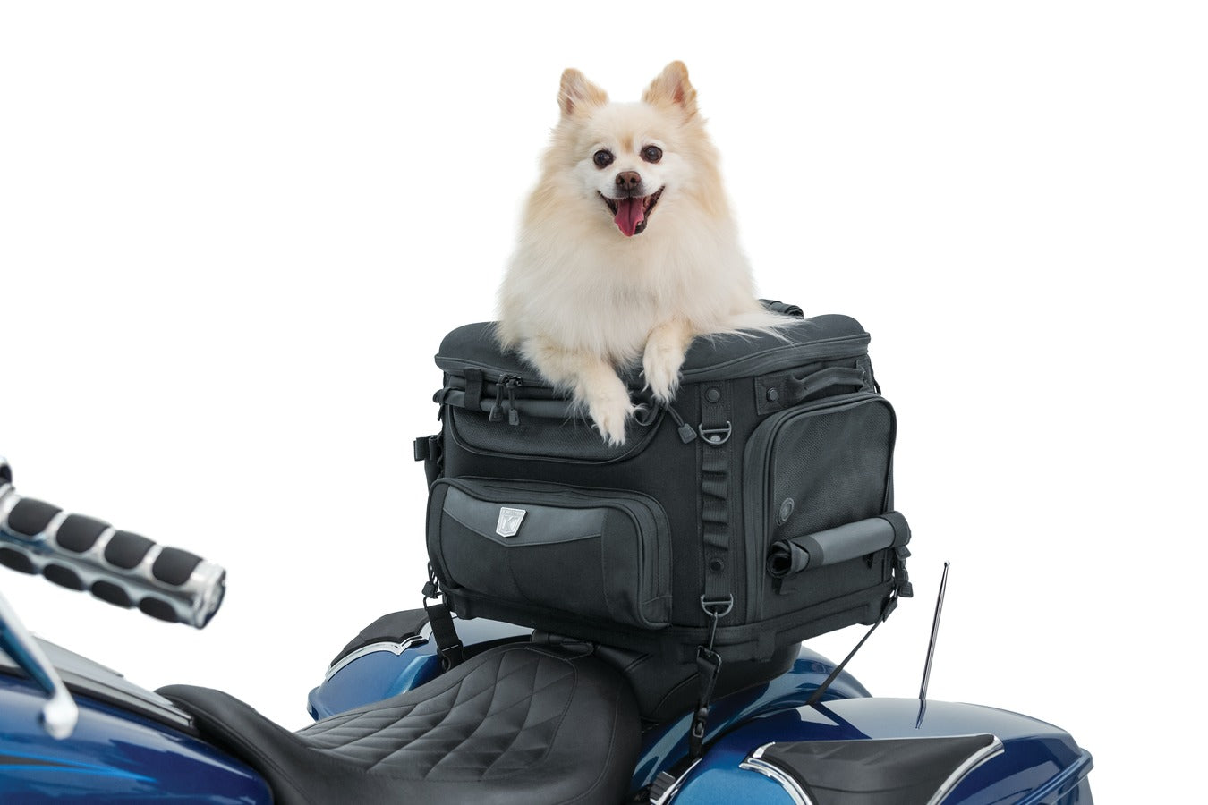 Kuryakyn GRAND Pet Palace (20 lbs Capacity)-Motorcycle Pet Carrier